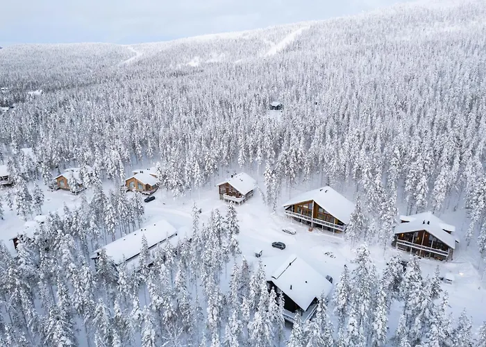 President Jahti A Levi